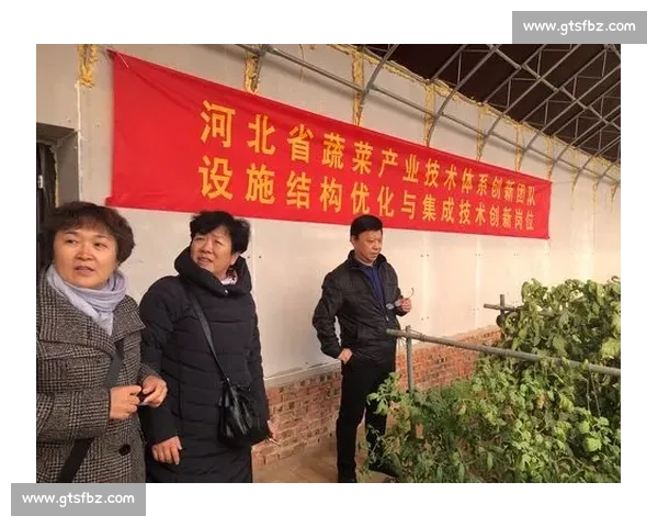 以排眼操作为核心的现代信息处理与优化策略研究 以排眼操作为核心的现代信息处理与优化策略研究