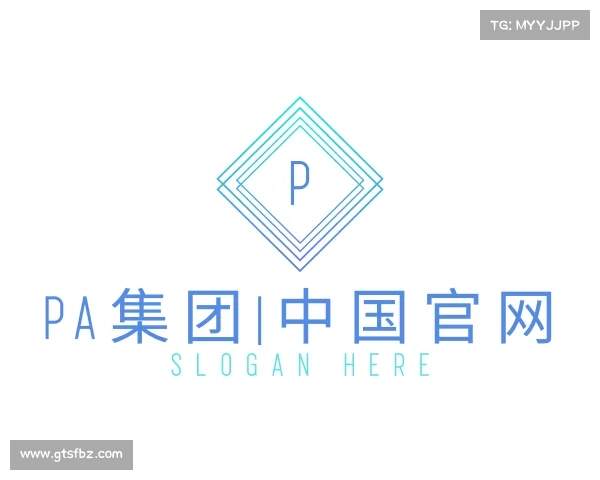 解读PA集团|中国官网